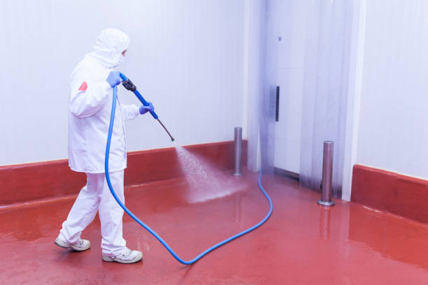 Trusted Lakeway, TX Pressure Washing Services Experts